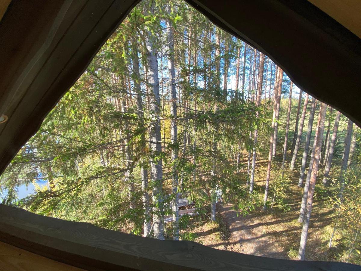 Viking House In The Tree! Jacuzzi, Sauna,Apkure! Lici  Exteriör bild