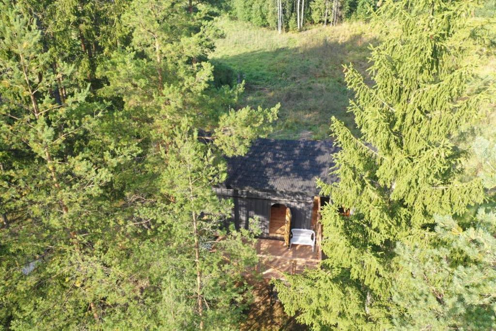 Viking House In The Tree! Jacuzzi, Sauna,Apkure! Lici  Exteriör bild